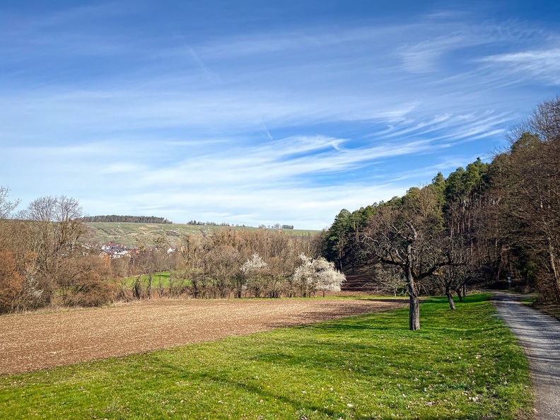 23-03-17 10-53-05 4882.jpeg